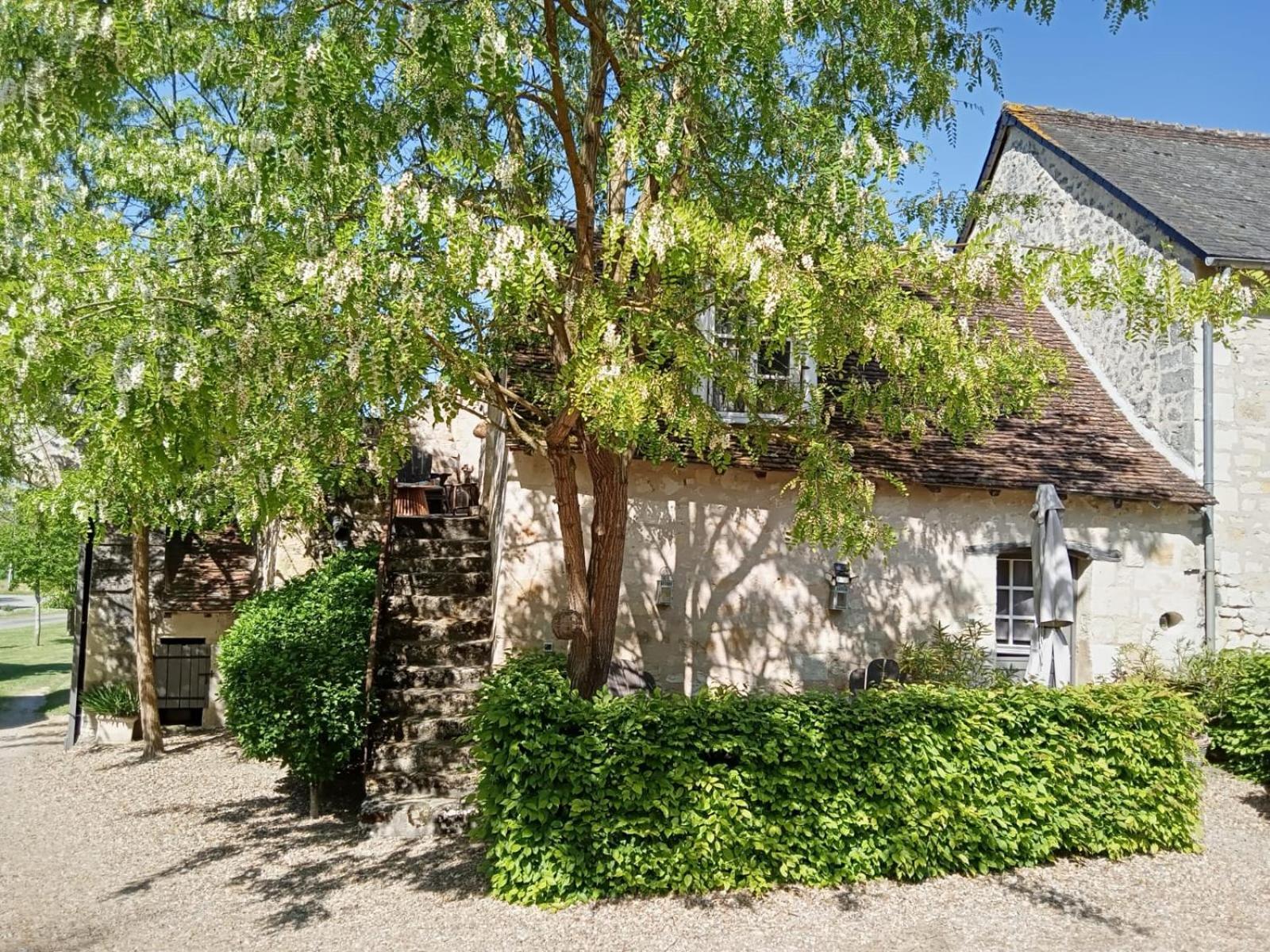 Domaine De Givre Bed & Breakfast Chinon Exterior photo